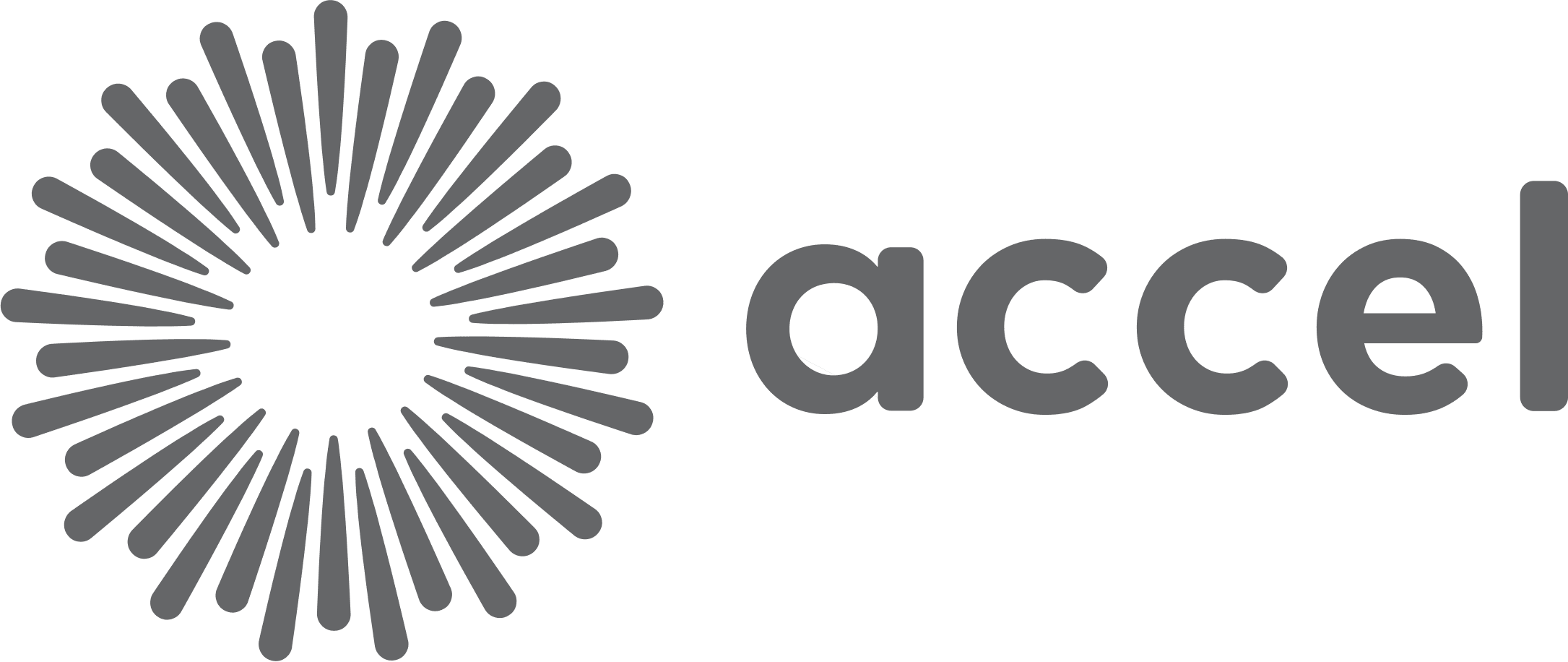 ACCEL Logo